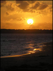 Lamu Skies