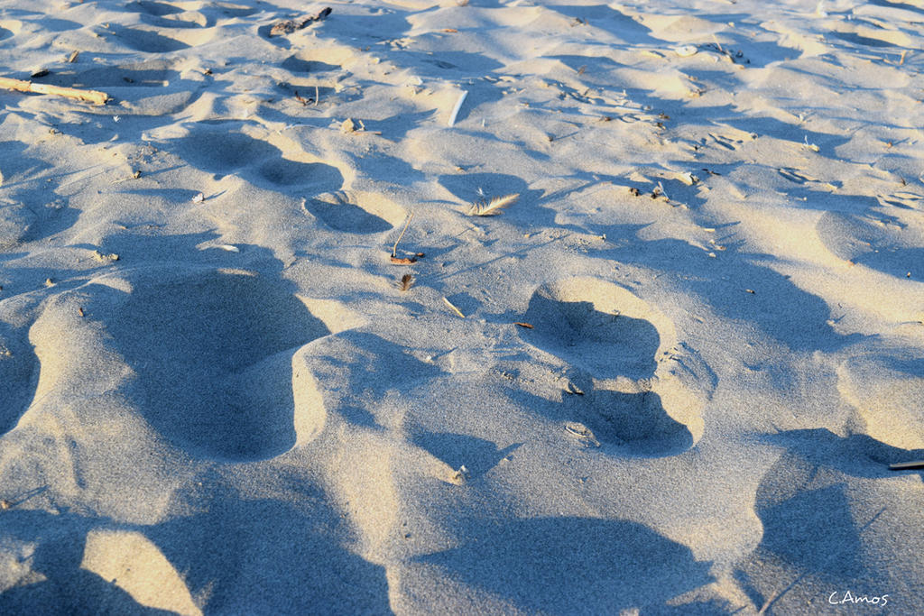 Sandy Stuff sand stuff by Home-Cat-Meow on DeviantArt