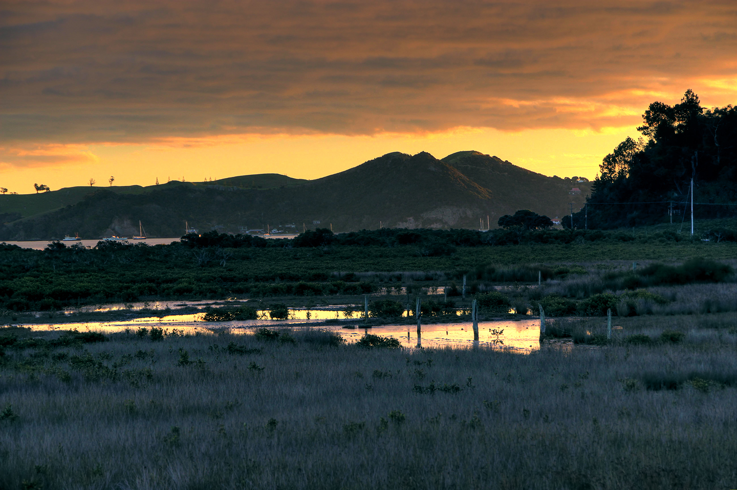 Coromandel Two