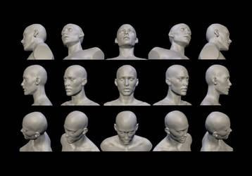 Artists anatomy reference, female head angles