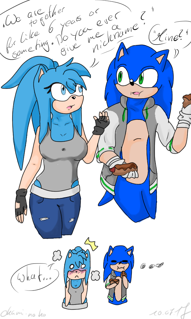 The Nickname Sonic X Oc By Okami No Ko On Deviantart
