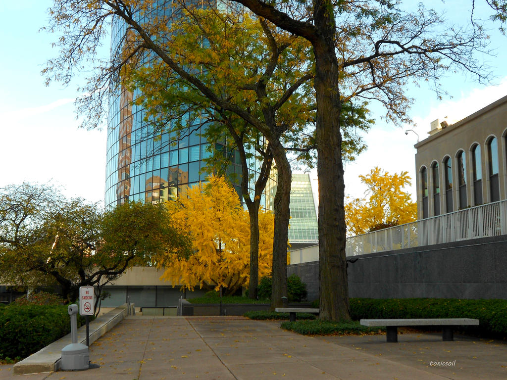 Fall Downtown Hartford 4