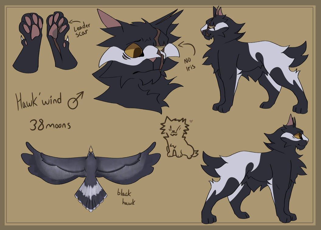 Hawk Ref Base new Hawk'wind ref by FeelineGood on DeviantArt