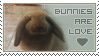 Bunnies are Love -Stamp-