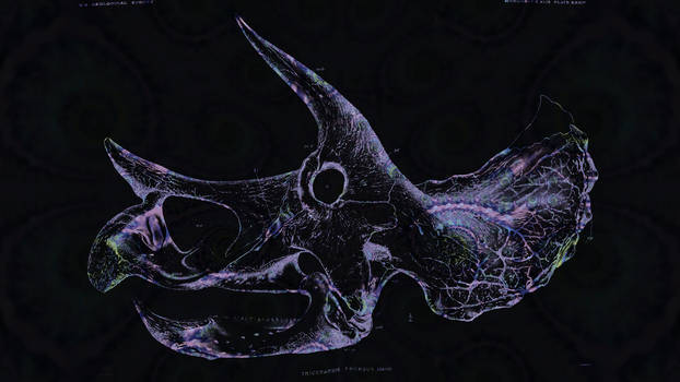 Triceratops Skull Fractal Wallpaper