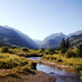 ::RMNP::