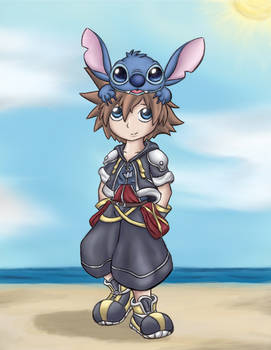 Sora's Stitch Hat