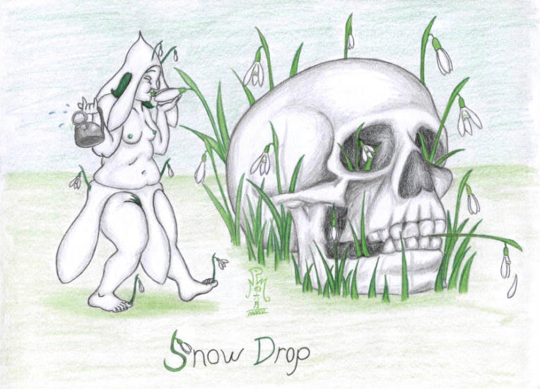 SnowDrop