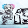 ::: 2016 Ford Focus RS :::