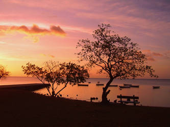 Bain Boeff, Mauritius