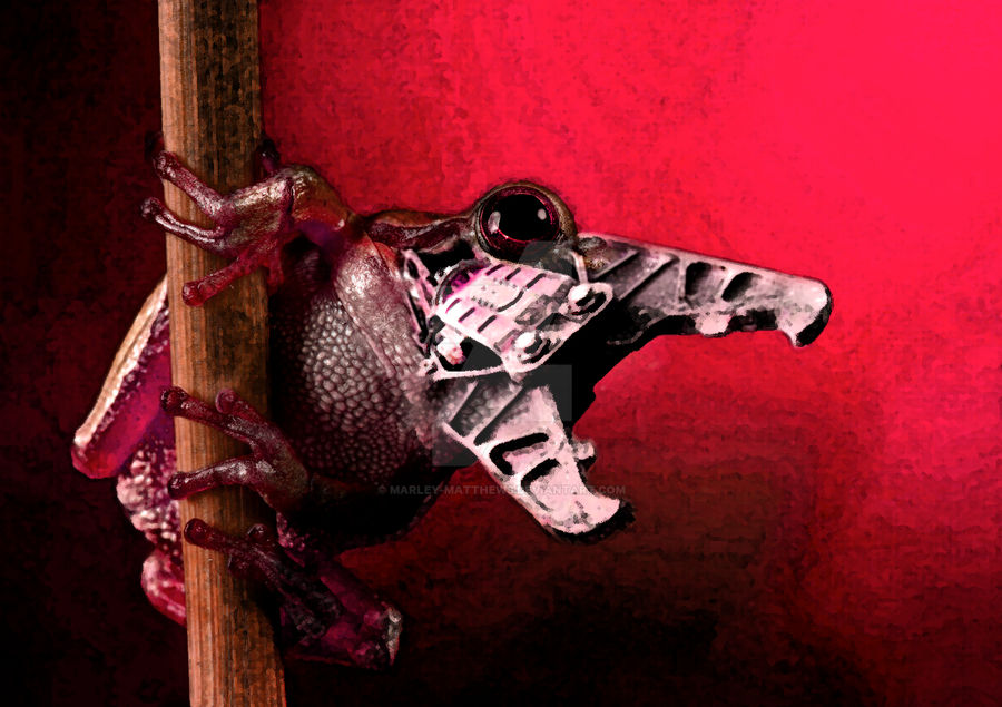 Shadowy Toad Dark Psy Toad by Marley-Matthews on DeviantArt