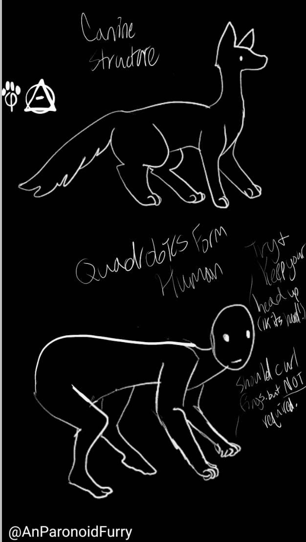 Quadrobics Draw Reference Quadrobics form guide ( ik it's not the best lol) by AnParonoidFurry on ...