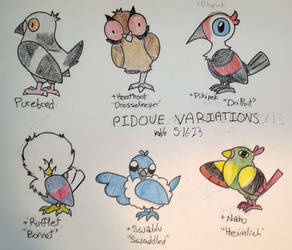 Pidove Variations