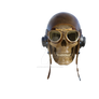 Pilot Skull