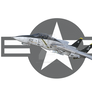 F-14 Star And Bar