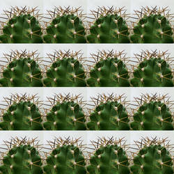 Pattern 026-cactus