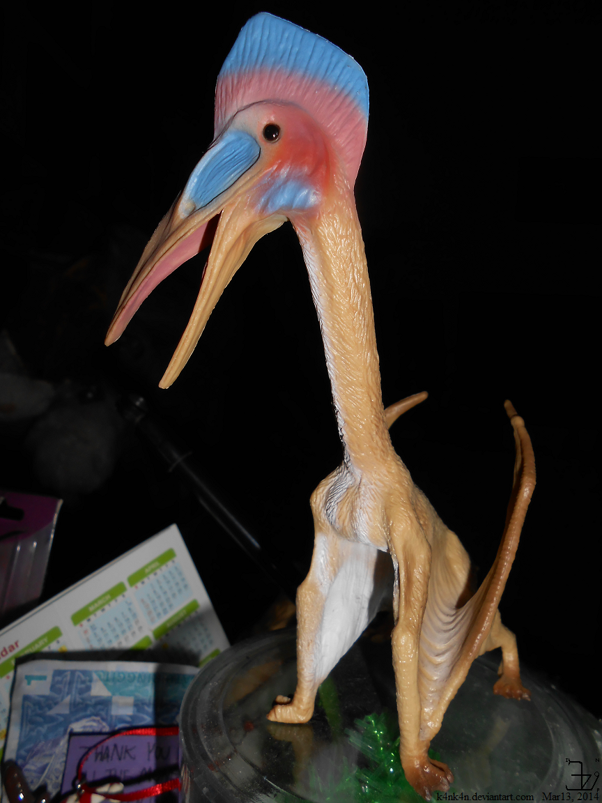 photo of Hatzegopteryx model