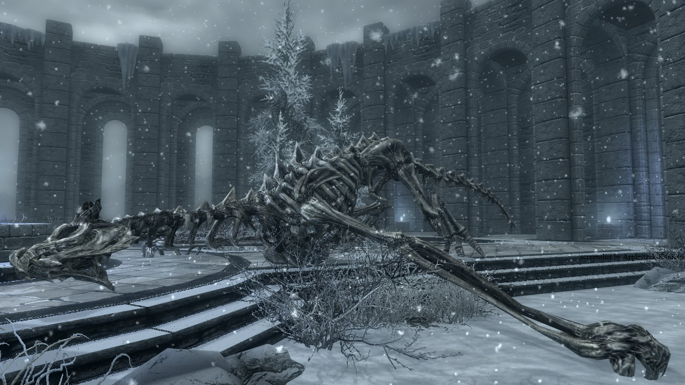 Dragon skeleton at College of Winterhold