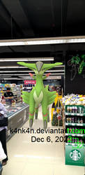 Virizion in Mercato (grocery store) by K4nK4n