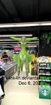 Virizion in Mercato (grocery store) by K4nK4n