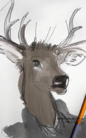 Deer wearing sweater _ color pencils (7 Feb 2023) by K4nK4n