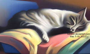 Sleeping cat (7 March 2023) by K4nK4n