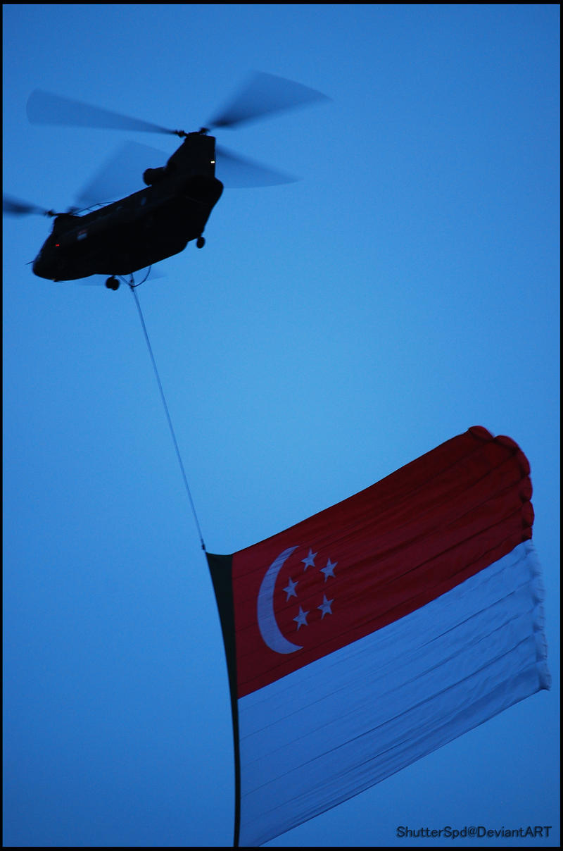 NDP'09, Preview Flag Flypast