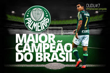 Palmeiras Copa do Brasil 2015