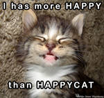 HappyCat by CatStock