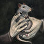 Shadows and fragile light. A watercolor study focusing on fur texture, hand anatomy.