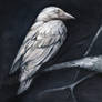 Watercolor art study: practicing monochromatic values, feather textures, and natural forms on a dark
