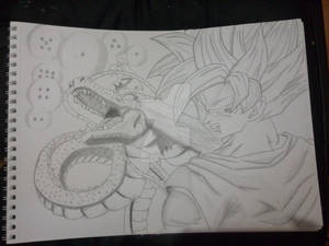 Goku and The Dragon