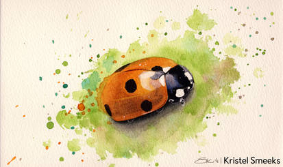 Ladybug