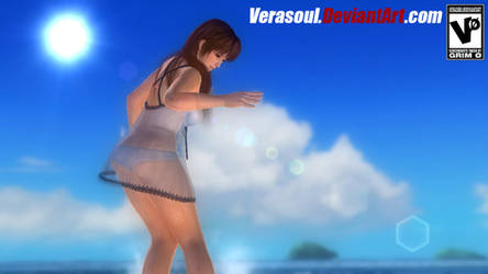 Kasumi's Private Paradise 11