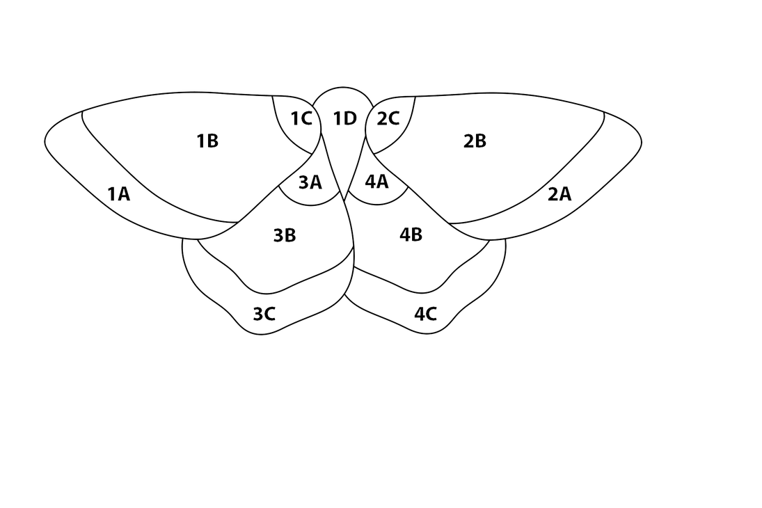 Simple-Moth-1-Cricut by kglasscreations on DeviantArt