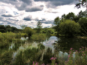 Summer Stormy Sky