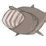 Shark Week - Basking Shark