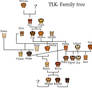 The Lion king family tree 1