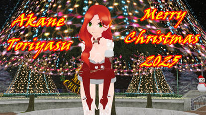 Merry Christmas 2025