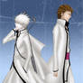 Hichi and Aizen