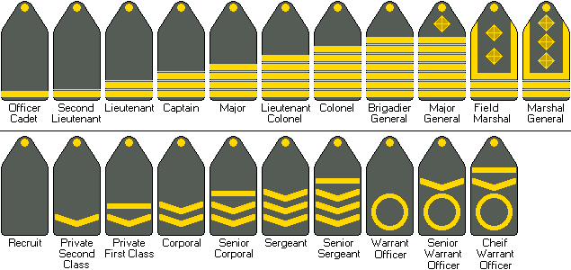 Military ranks by ChappyMonkeys on DeviantArt