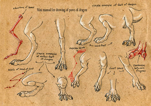 Tutorial Paws of dragon