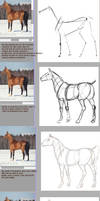 Tutorial: how to draw a horse with ref