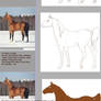 Tutorial: how to draw a horse with ref