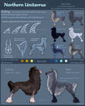 Northern Unitavrus - breed reference by EsaArts