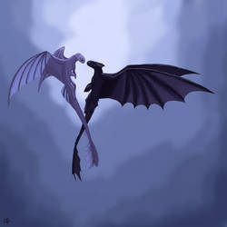Toothless and the Light Fury