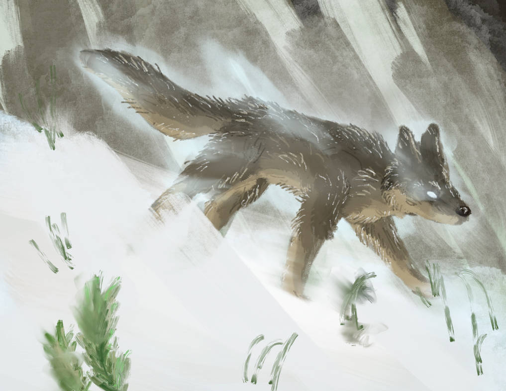 Timberwolf by FireWolfSong on DeviantArt
