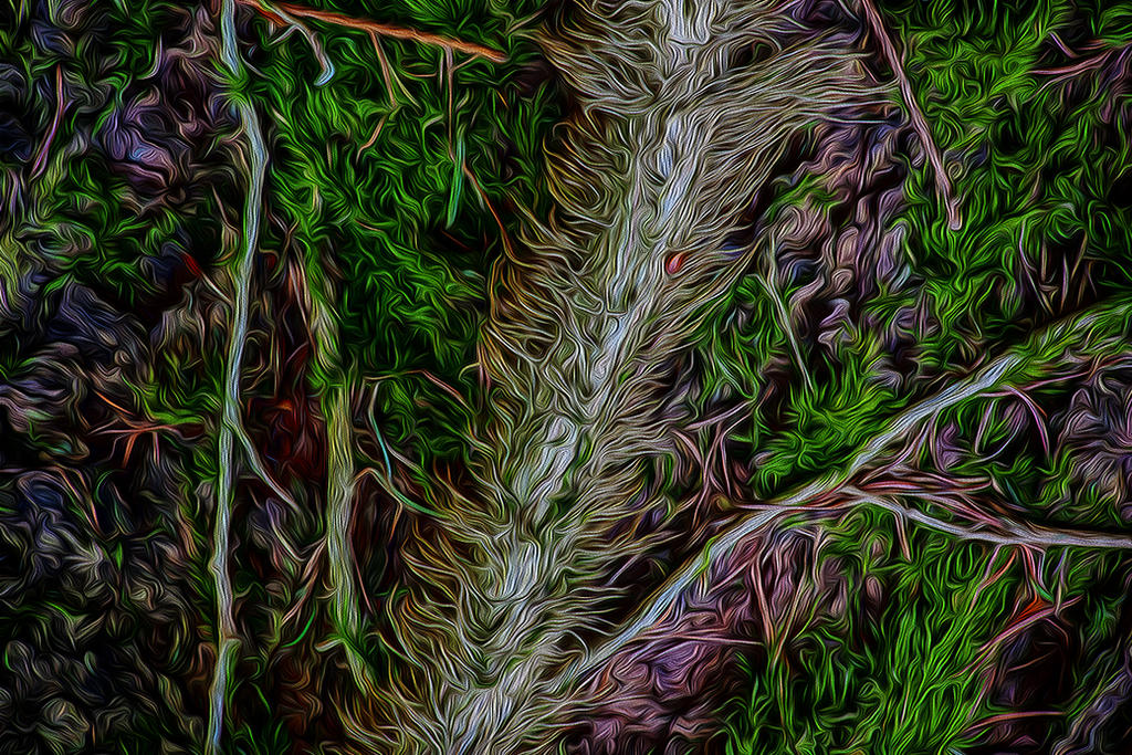 The Magic Roots magic roots by FadeOel on DeviantArt