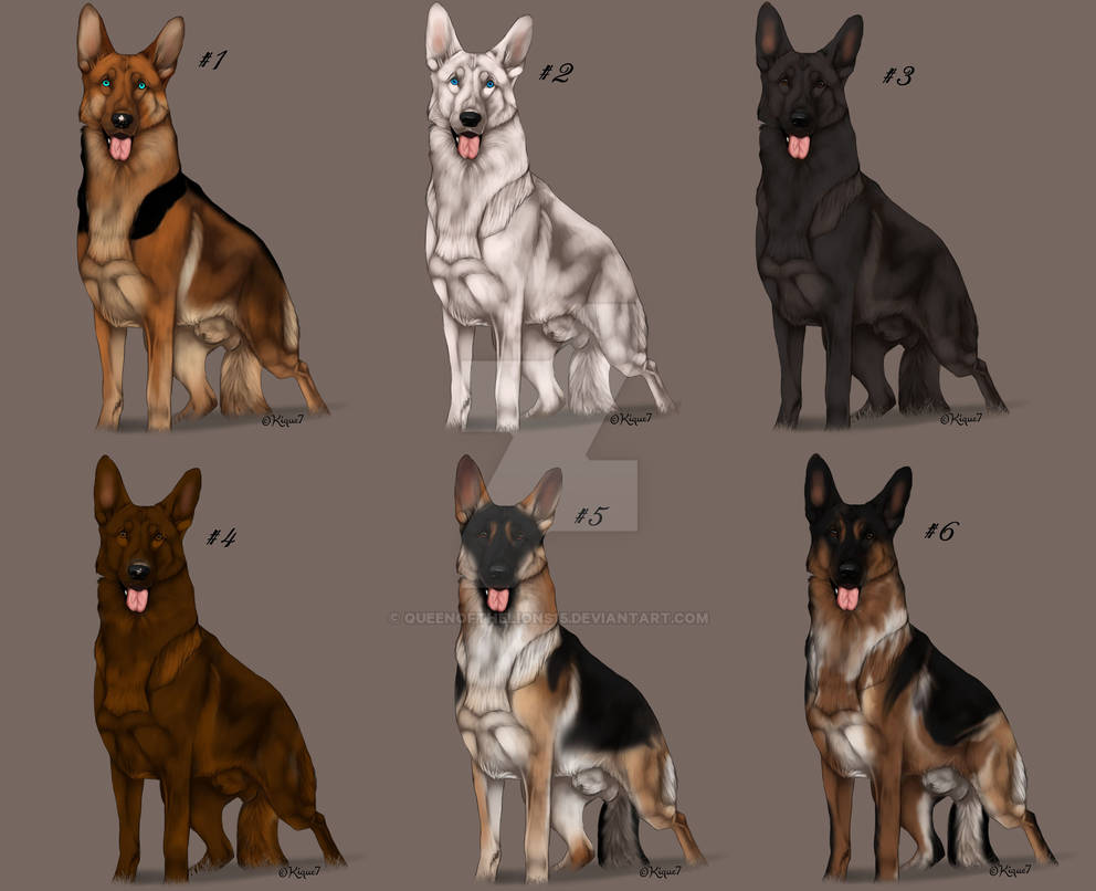 Shepard Adoption by QueenoftheLions15 on DeviantArt