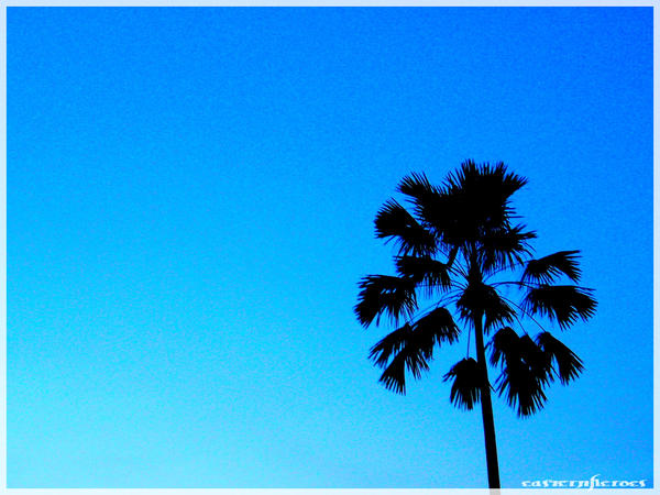 Blue Sky...... by easternHeroes on DeviantArt